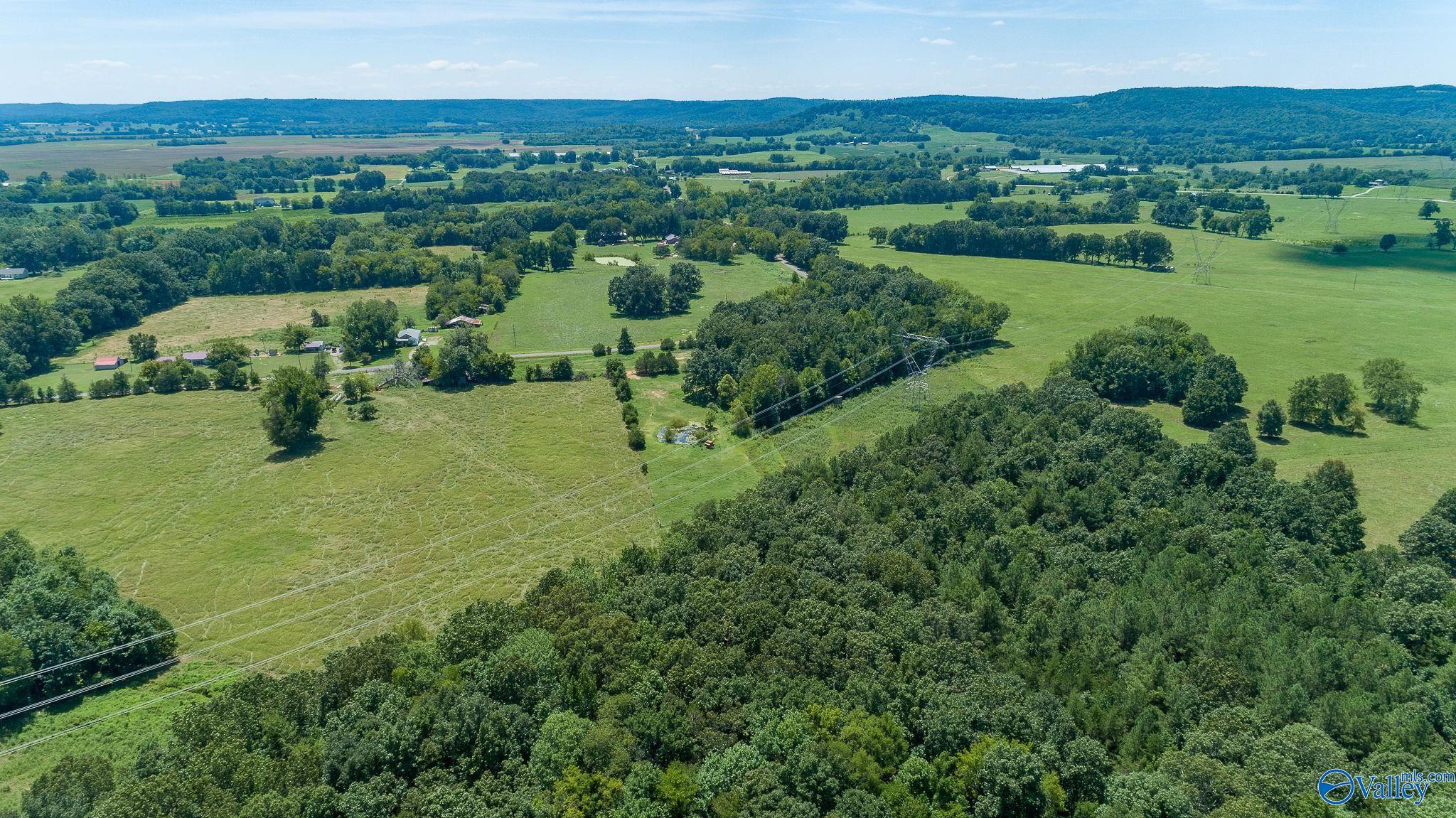 98.20 Acres County Road 23, Mount Hope, Alabama image 7