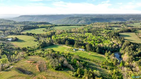 1122 County Road 361 Pisgah AL 35765