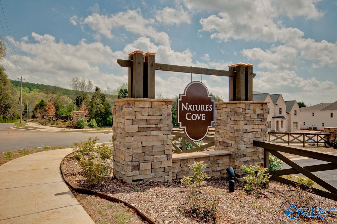 2800 Natures Cove Drive, Huntsville, Alabama image 47