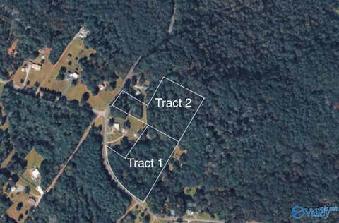 Vacant Land For Sale - TRACT 1 Wyeth Mountain Road<br/> Guntersville, AL 35976