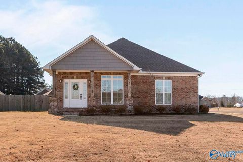 Homes For Sale - 16210 Kyle Moran Drive<br/> Athens, AL 35614