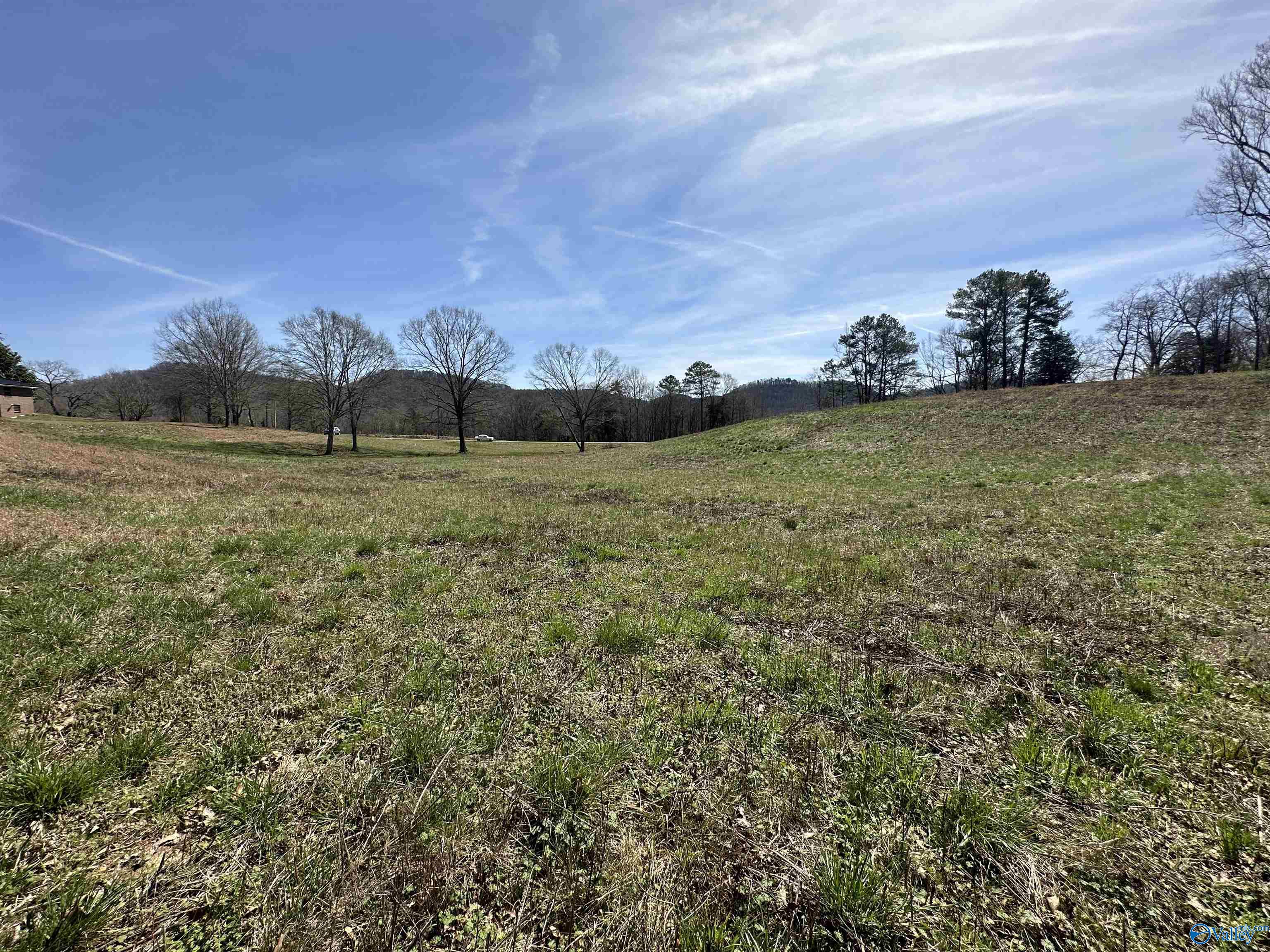 6.1 Acres Duck Springs Road, Attalla, Alabama image 15