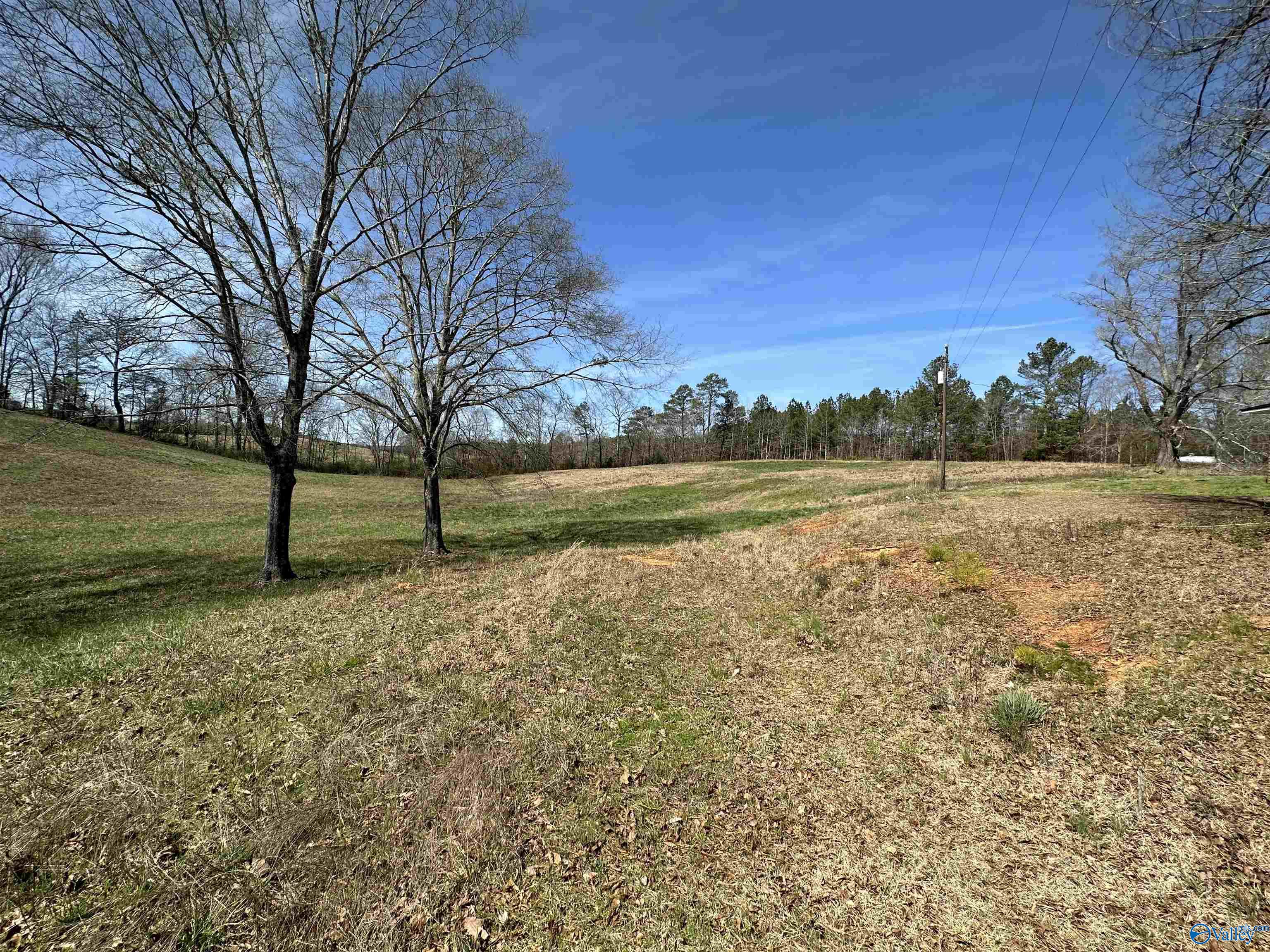 6.1 Acres Duck Springs Road, Attalla, Alabama image 7