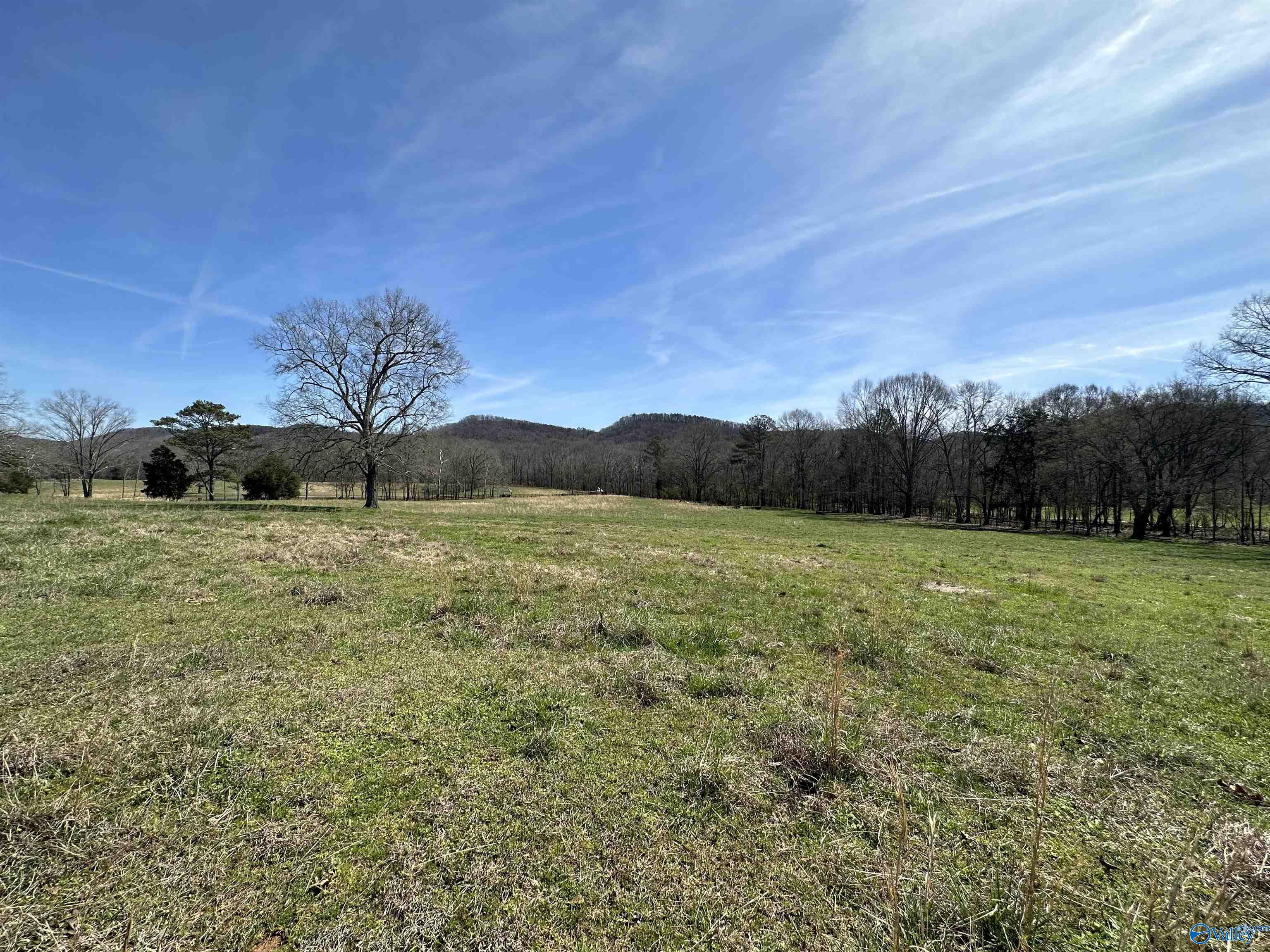 6.1 Acres Duck Springs Road, Attalla, Alabama image 16