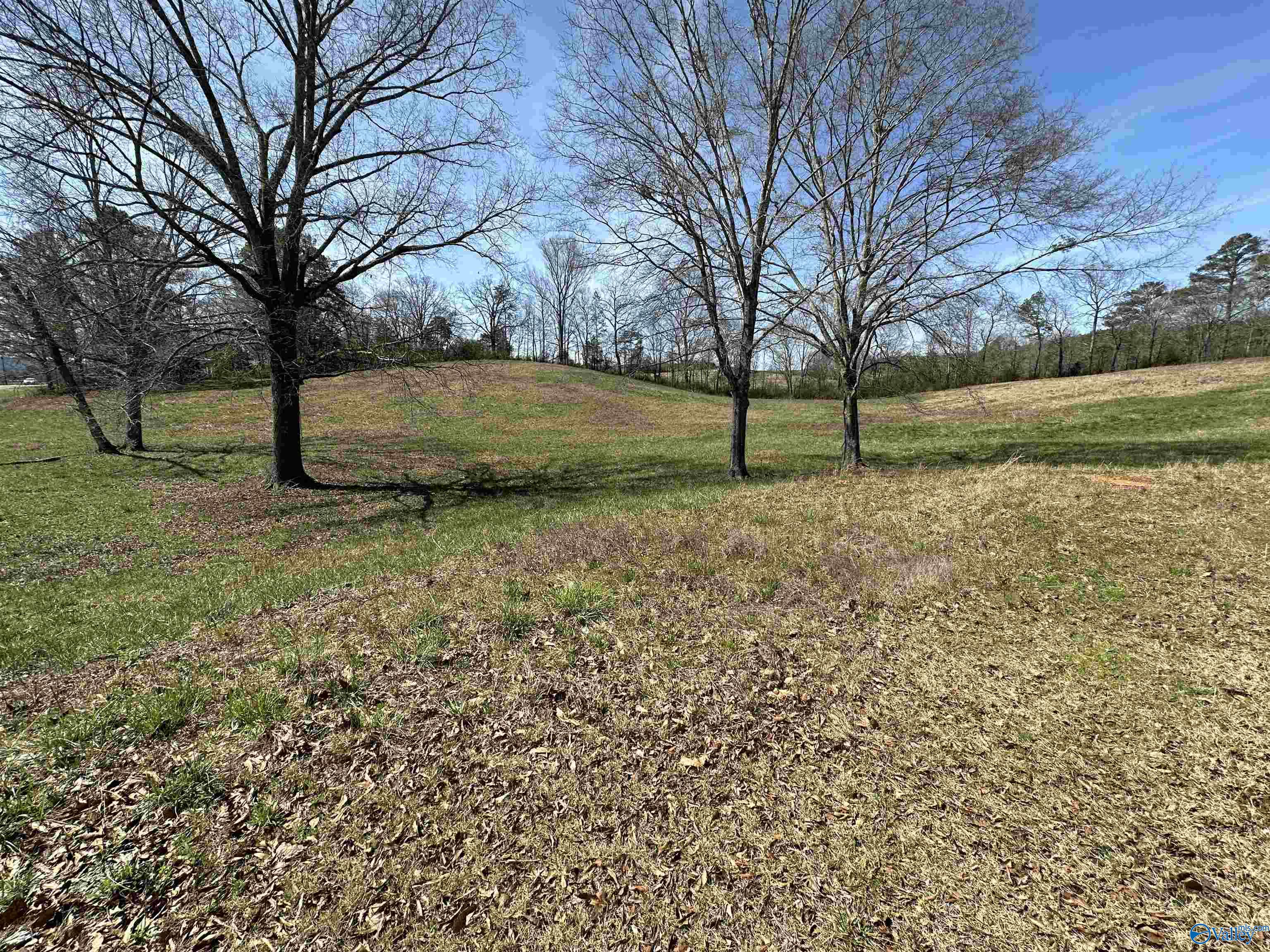 6.1 Acres Duck Springs Road, Attalla, Alabama image 9