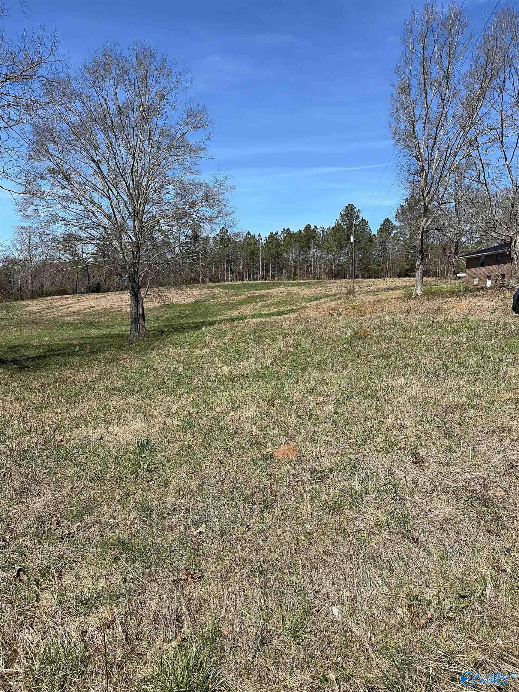 6.1 Acres Duck Springs Road, Attalla, Alabama image 5