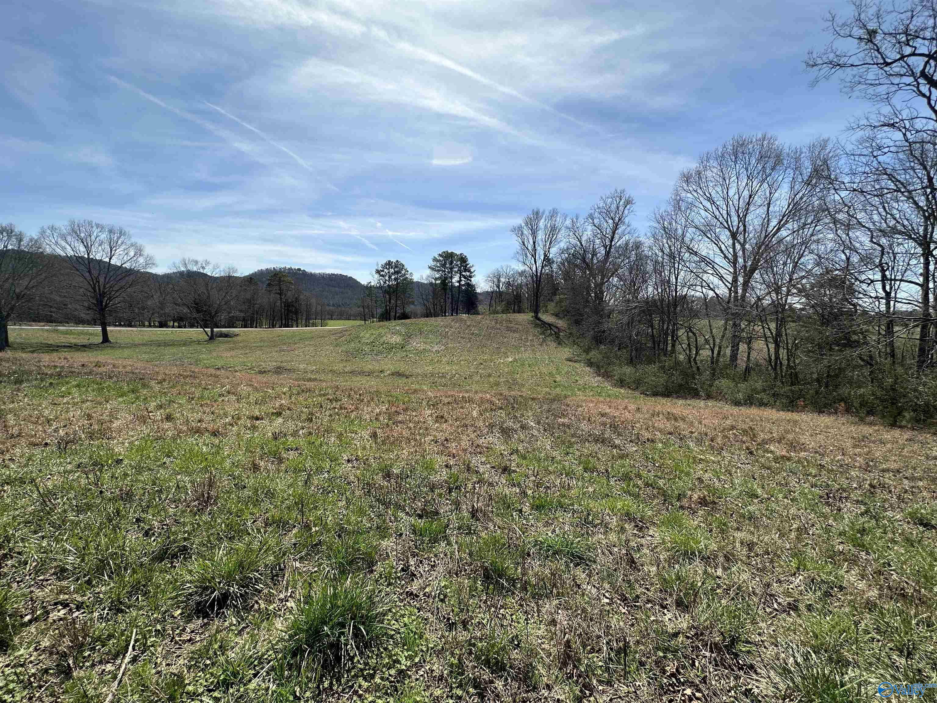 6.1 Acres Duck Springs Road, Attalla, Alabama image 11