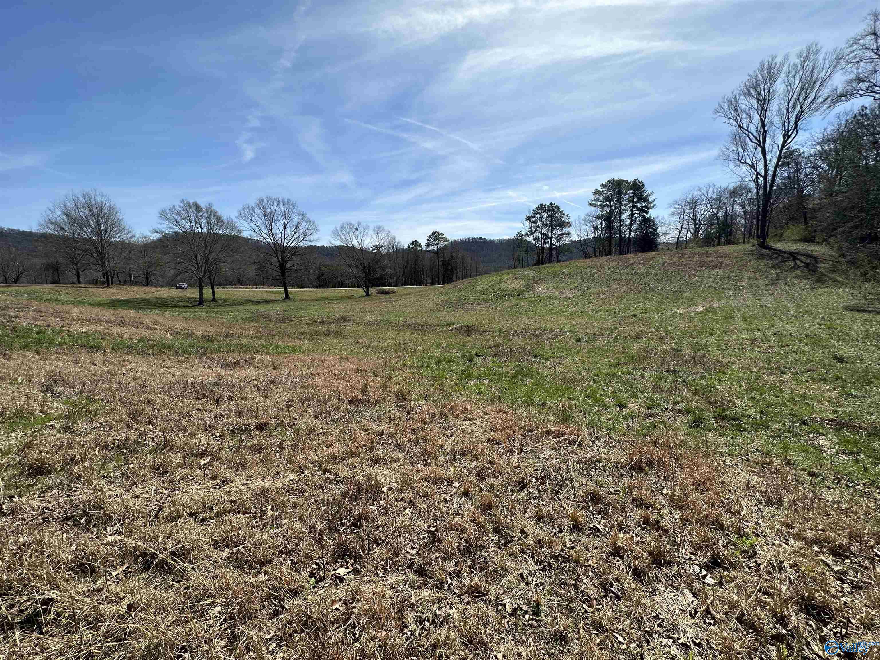 6.1 Acres Duck Springs Road, Attalla, Alabama image 10