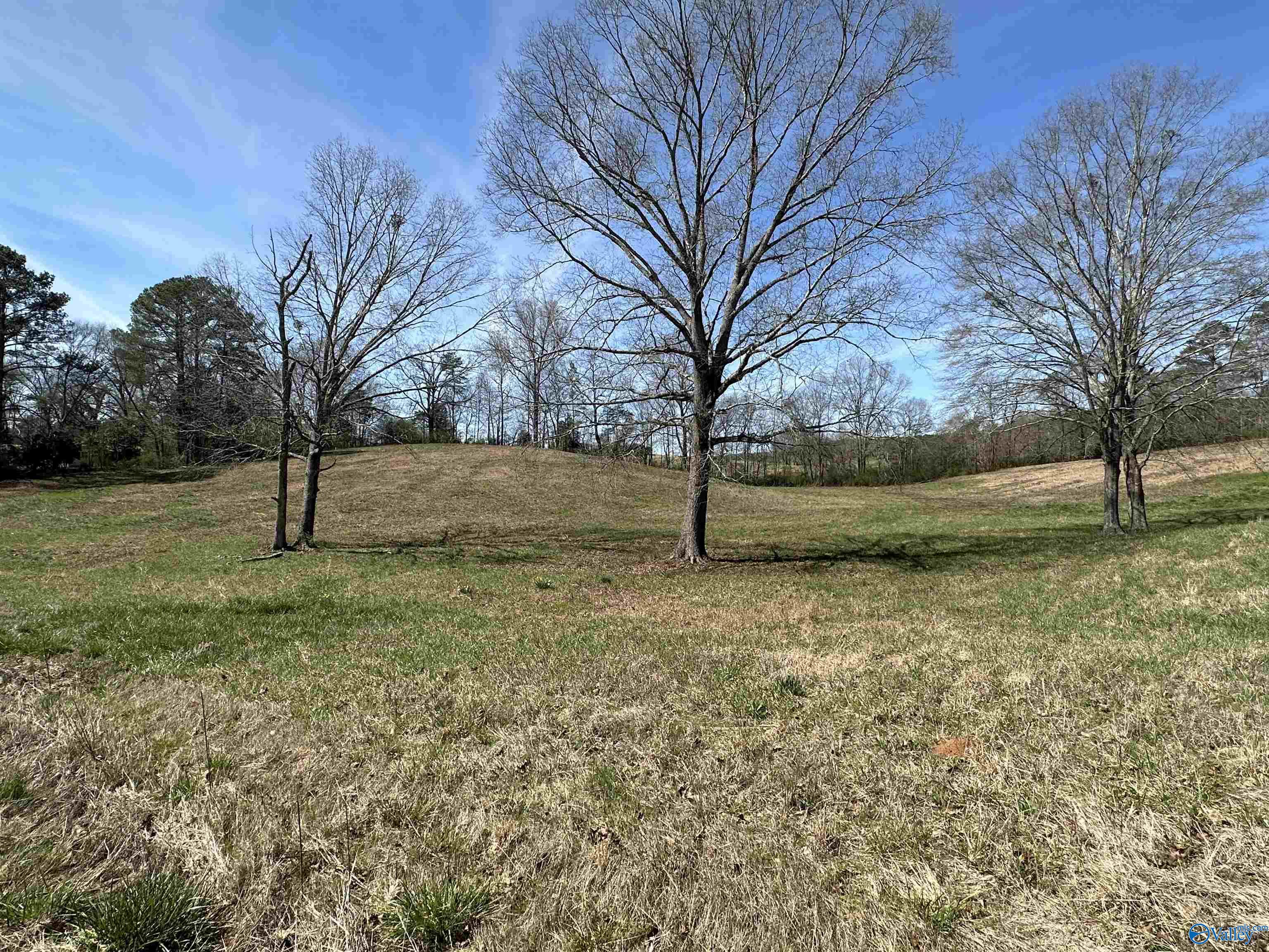 6.1 Acres Duck Springs Road, Attalla, Alabama image 8