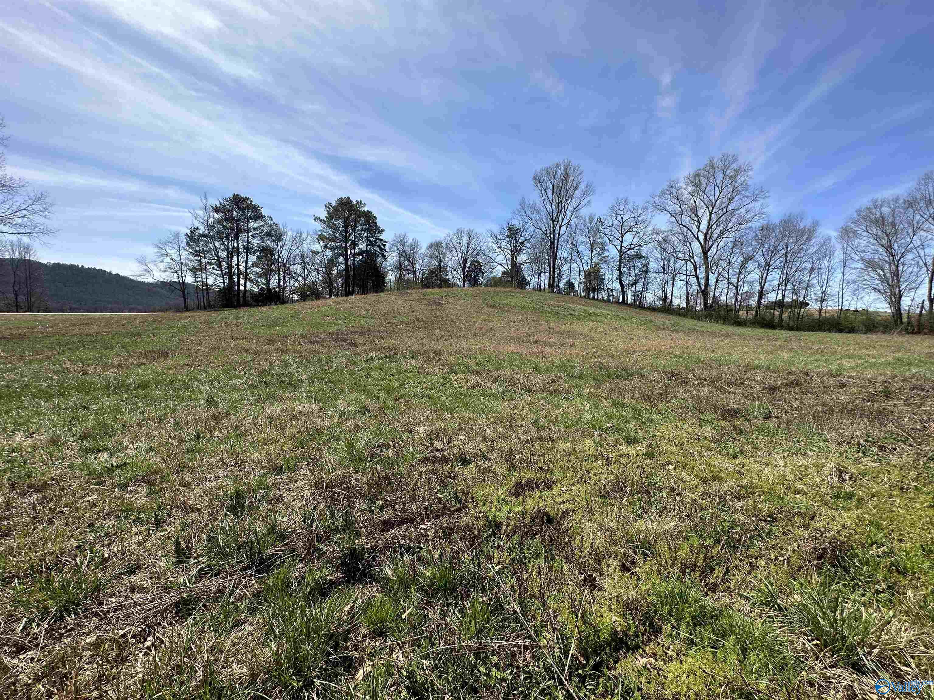 6.1 Acres Duck Springs Road, Attalla, Alabama image 12