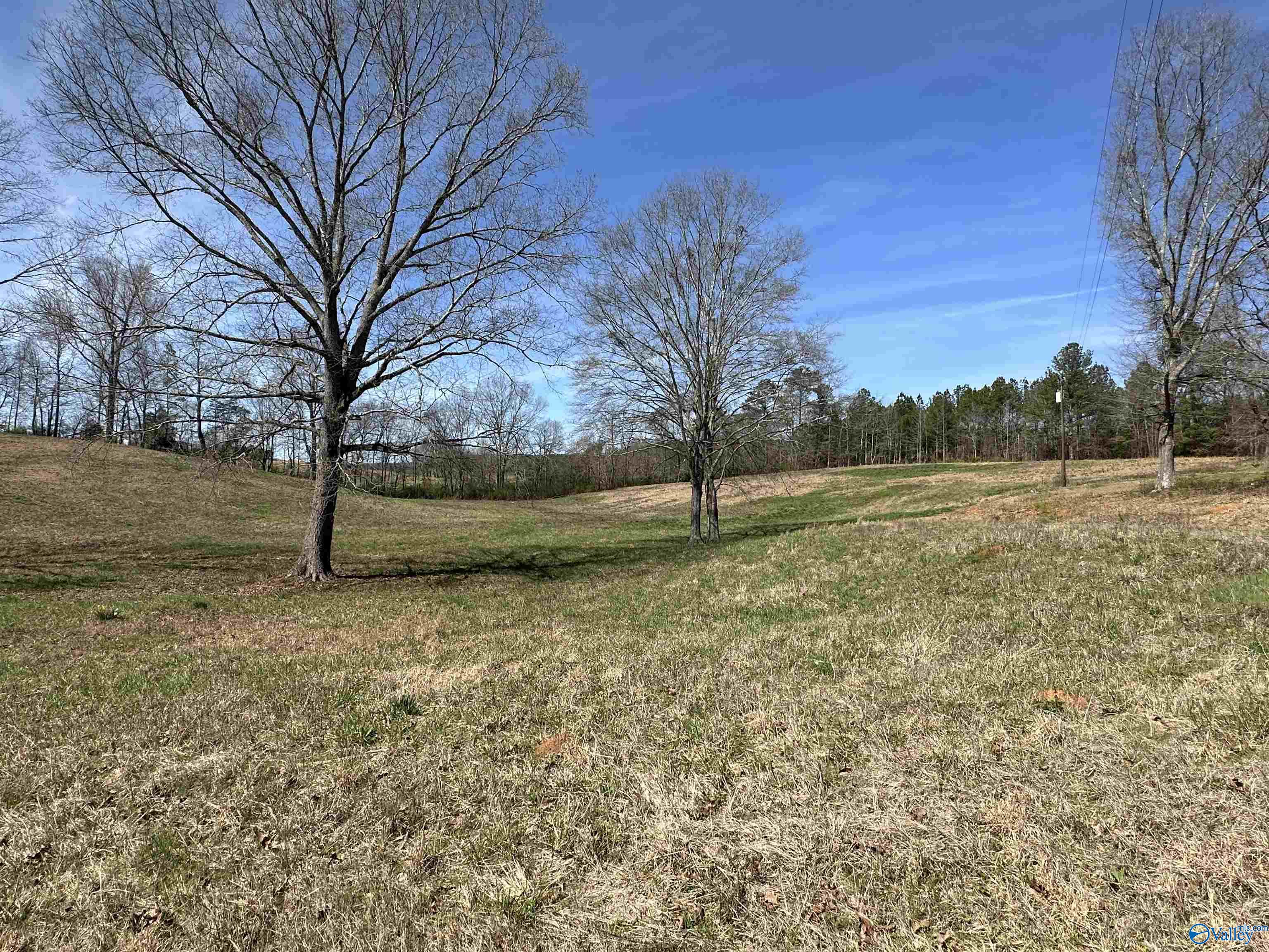 6.1 Acres Duck Springs Road, Attalla, Alabama image 1