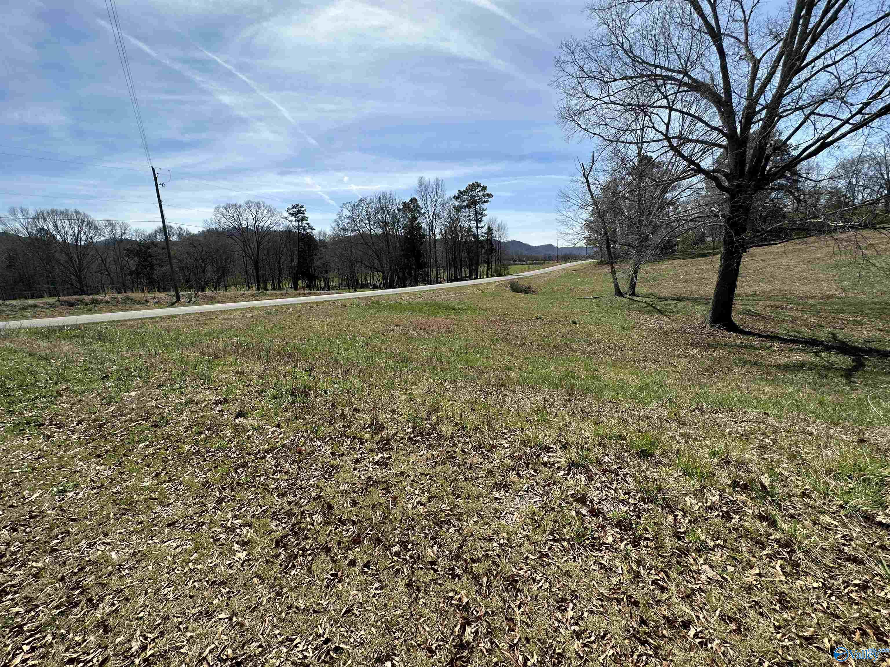 6.1 Acres Duck Springs Road, Attalla, Alabama image 3