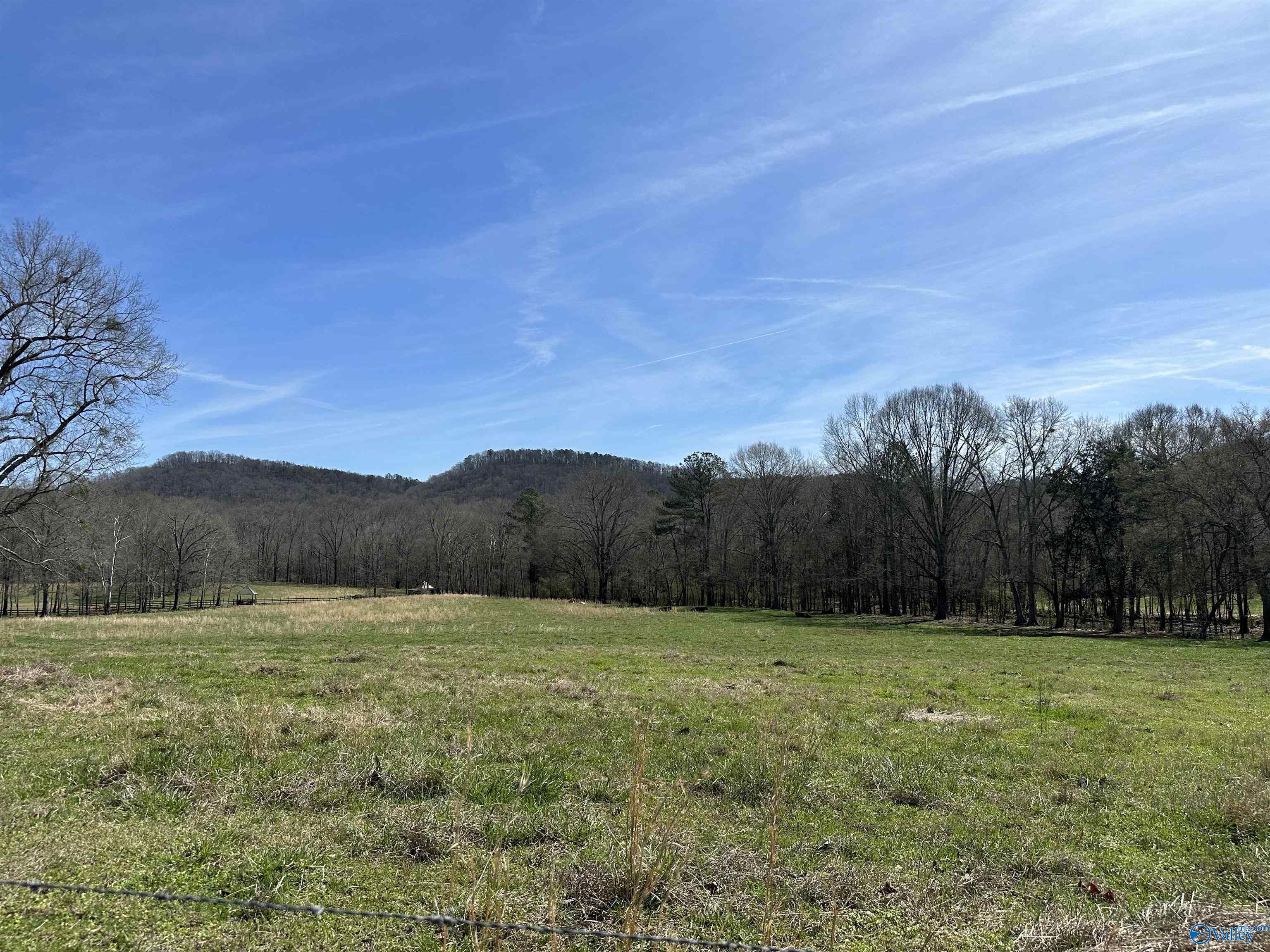 6.1 Acres Duck Springs Road, Attalla, Alabama image 20