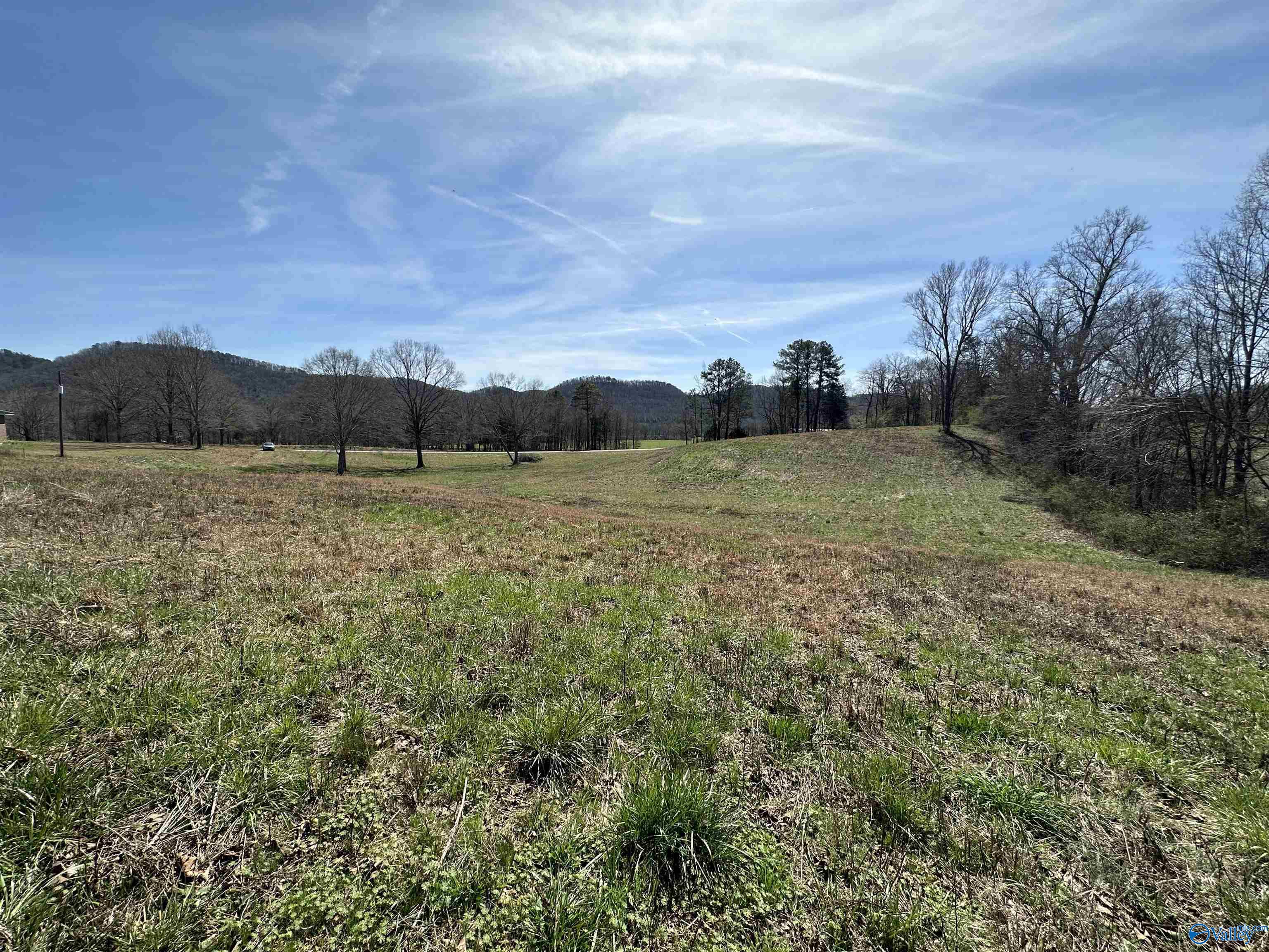 6.1 Acres Duck Springs Road, Attalla, Alabama image 14