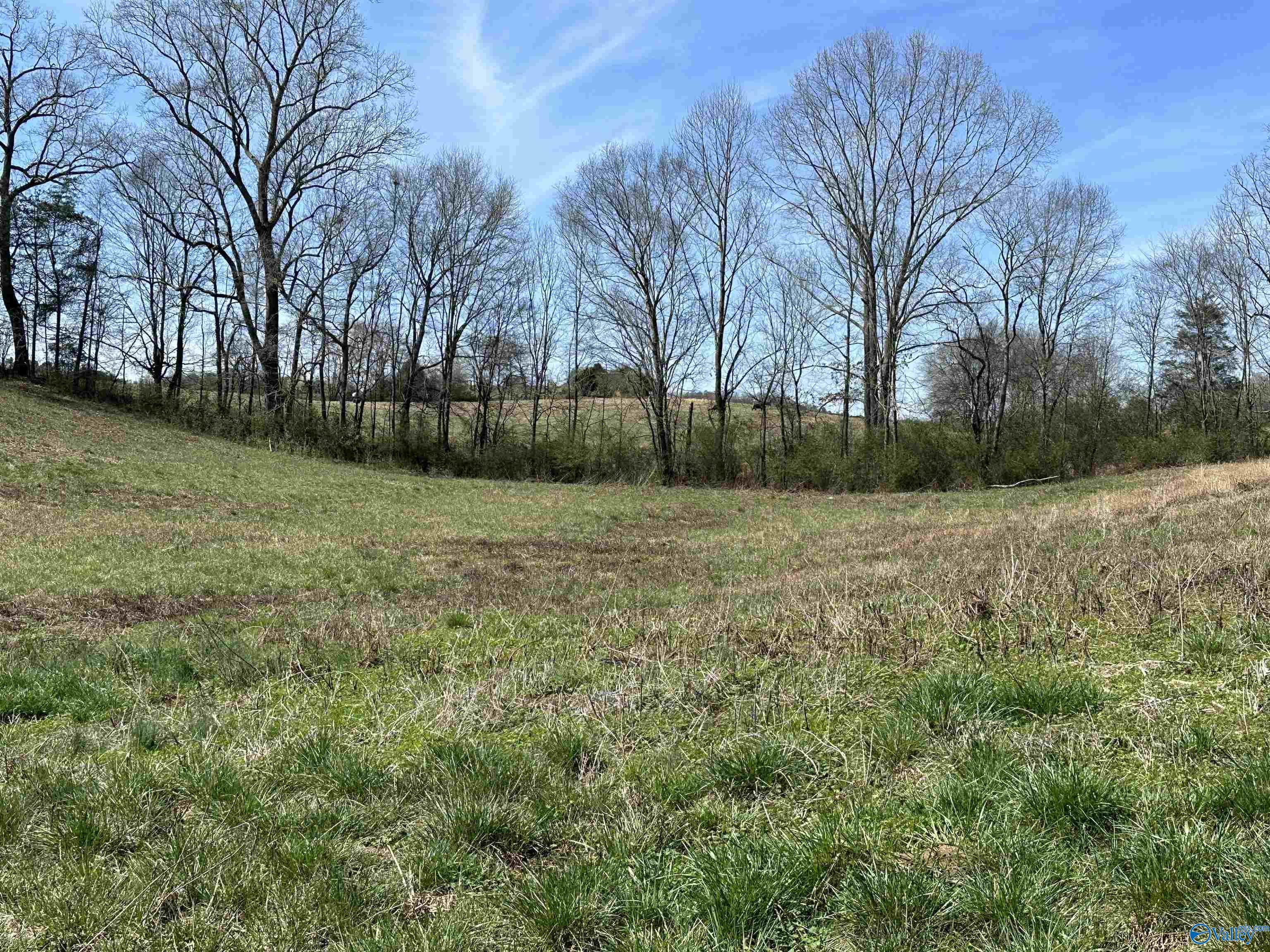 6.1 Acres Duck Springs Road, Attalla, Alabama image 6