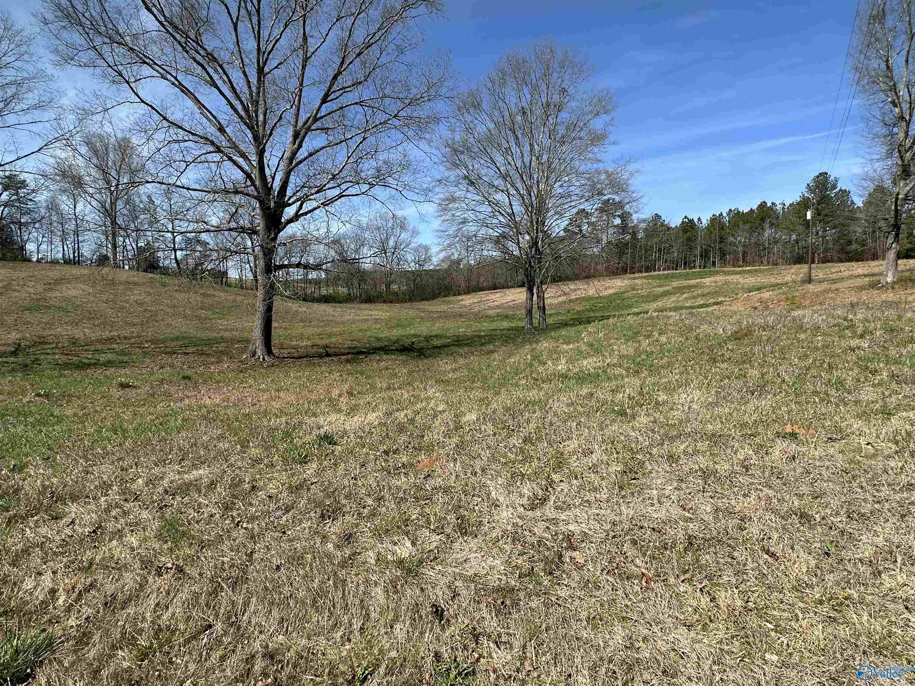 6.1 Acres Duck Springs Road, Attalla, Alabama image 2