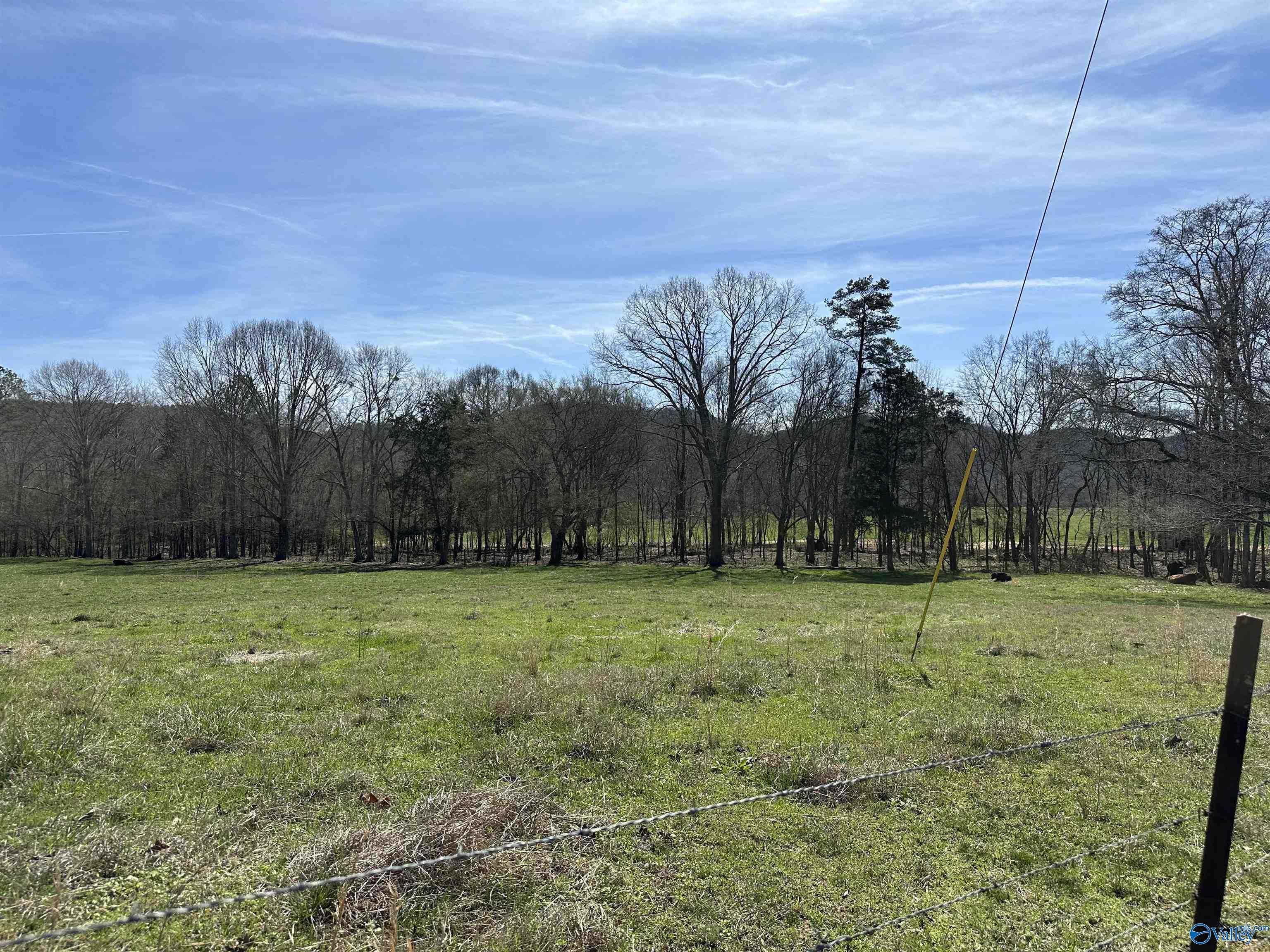 6.1 Acres Duck Springs Road, Attalla, Alabama image 17