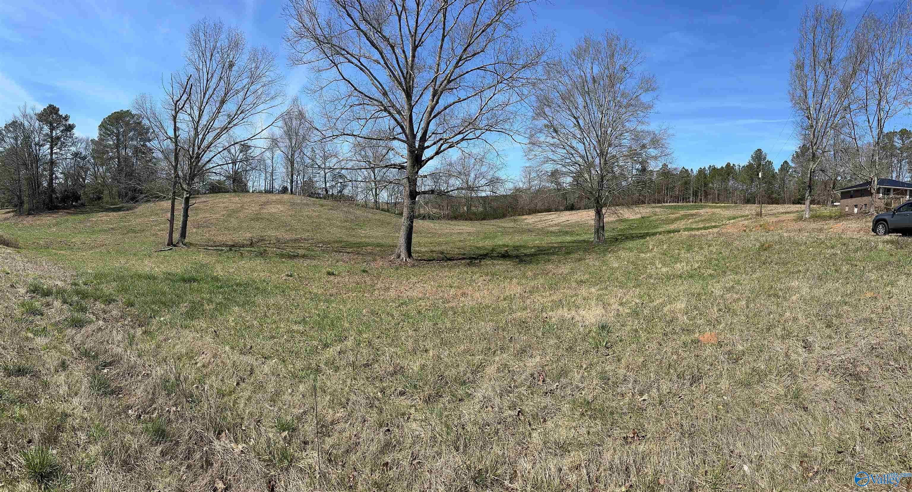 6.1 Acres Duck Springs Road, Attalla, Alabama image 4