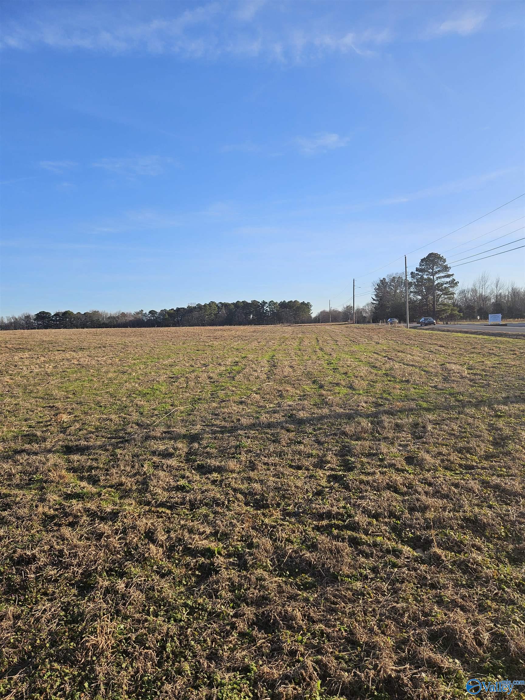 Lot 2 Elkwood Section Road, Hazel Green, Alabama image 2