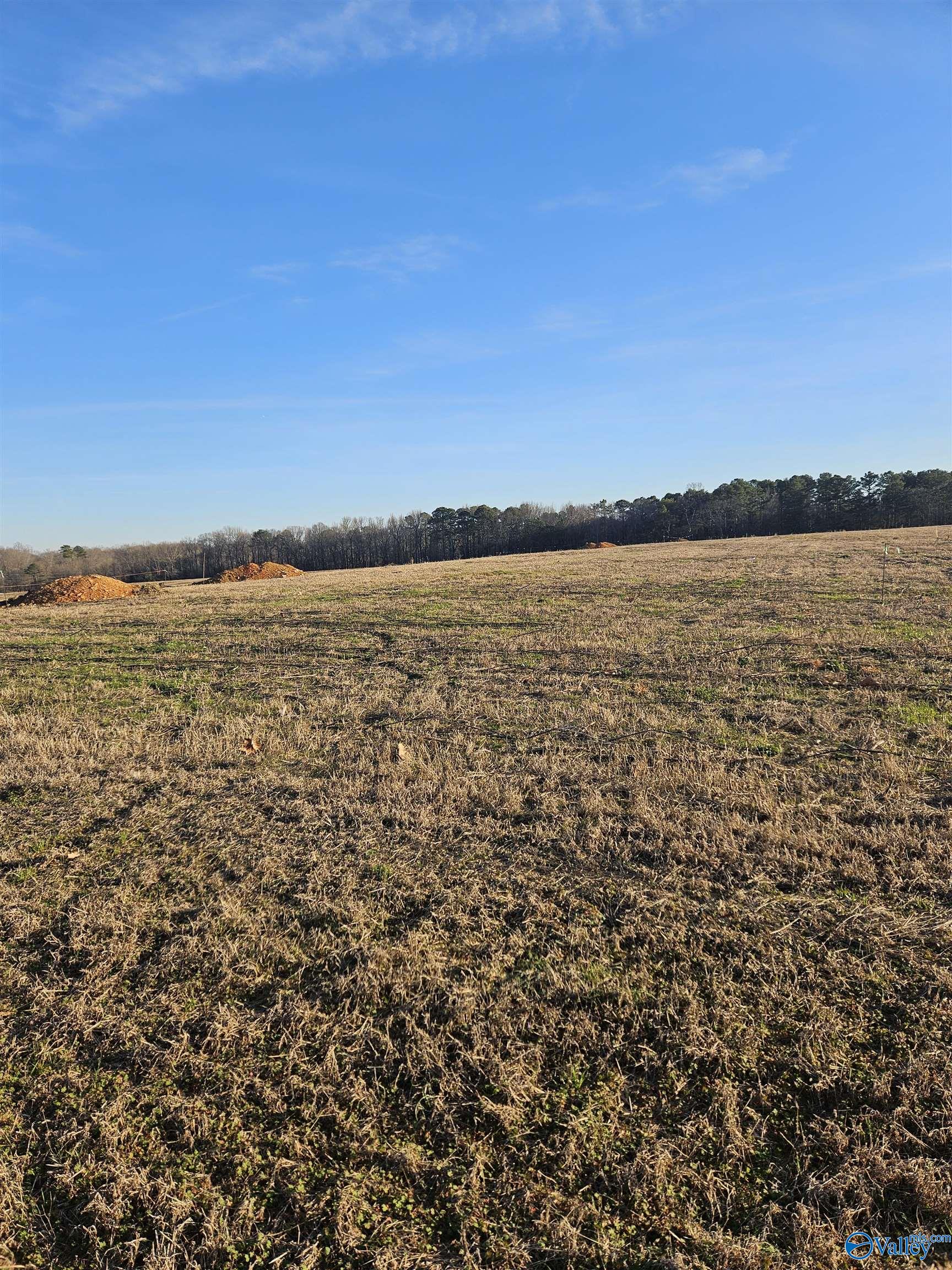 Lot 2 Elkwood Section Road, Hazel Green, Alabama image 1