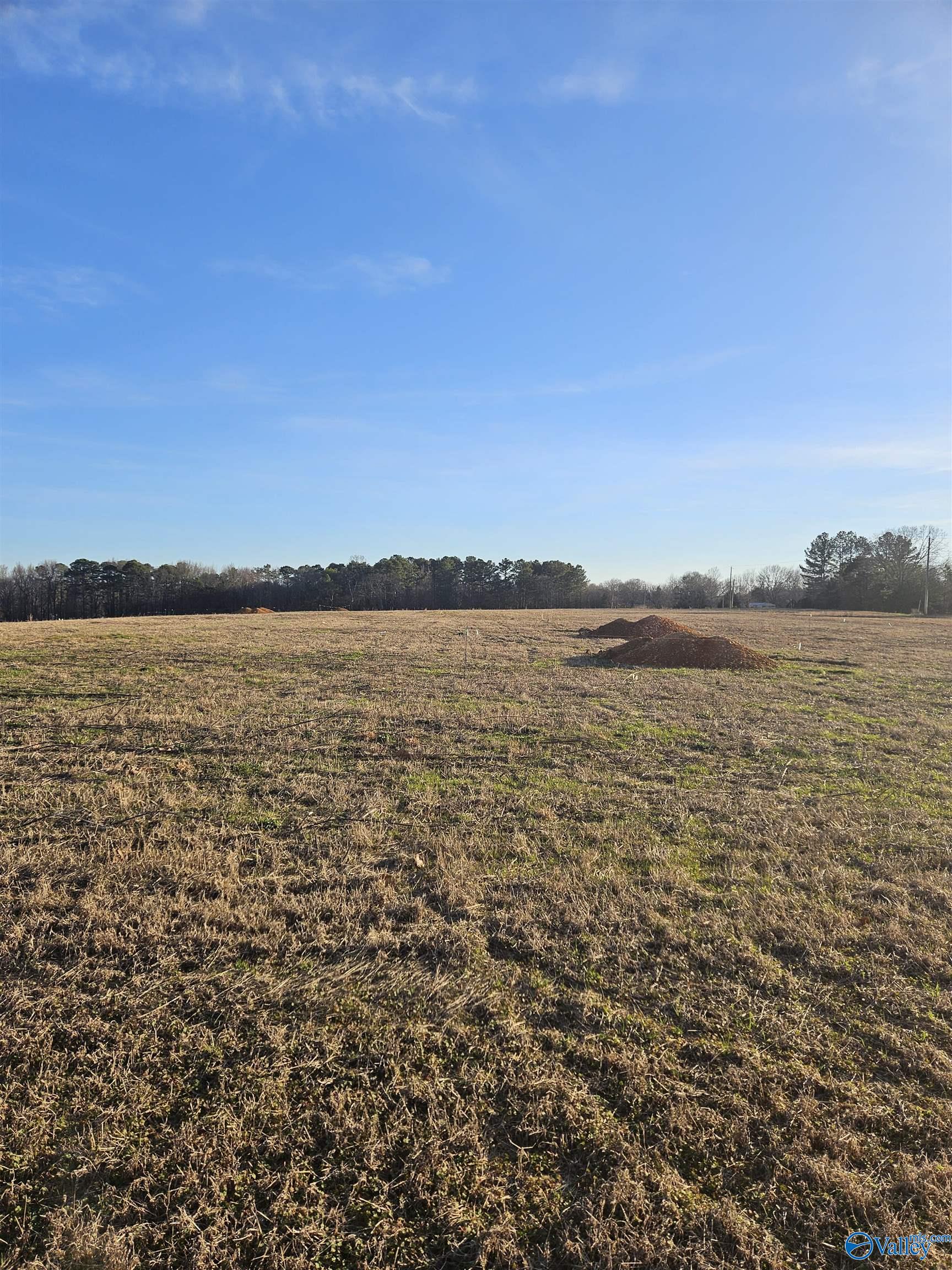 Lot 2 Elkwood Section Road, Hazel Green, Alabama image 3