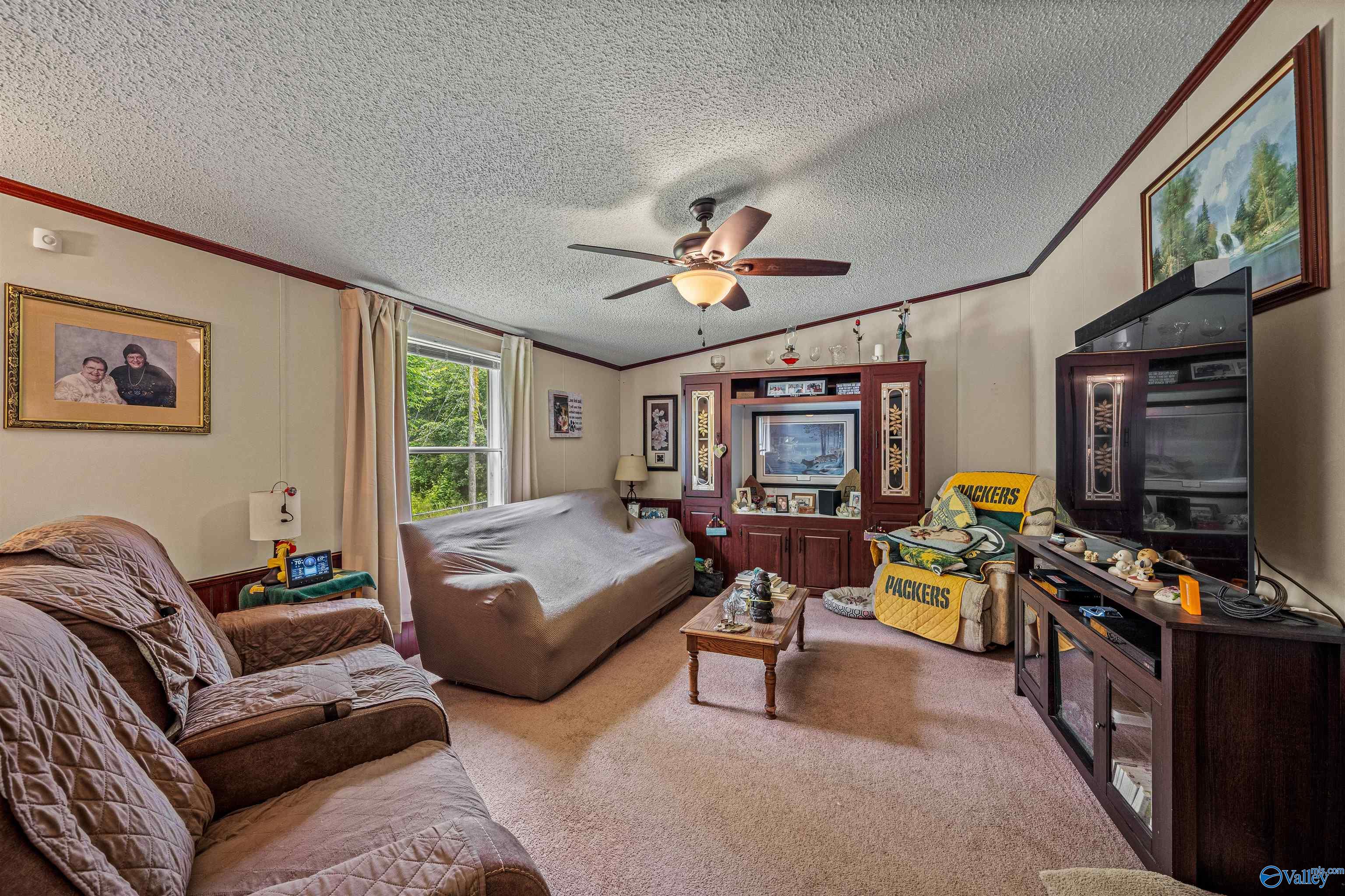 154 Creekside Drive, Hokes Bluff, Alabama image 6