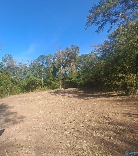 Vacant Land For Sale - 0.30 Mccoy Street<br/> Guntersville, AL 35976