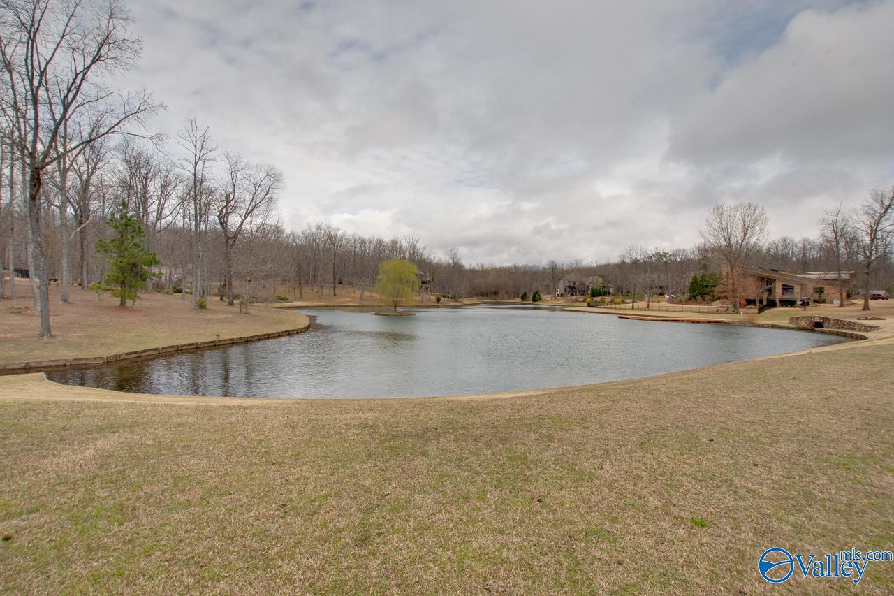 5 Spring Haven Circle, Huntsville, Alabama image 10