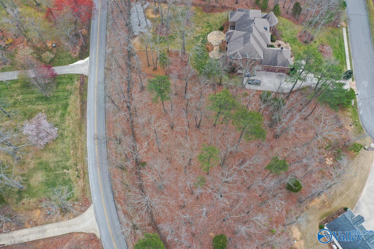 5 Spring Haven Circle, Huntsville, Alabama image 17