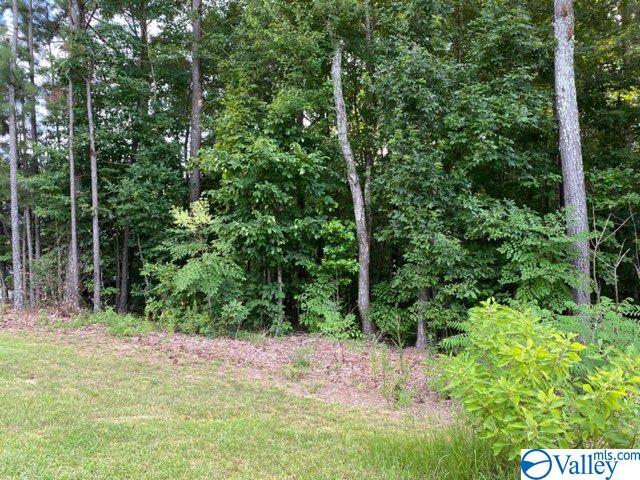 Lot 16 Sweetwater Lane, Rainbow City, Alabama image 2