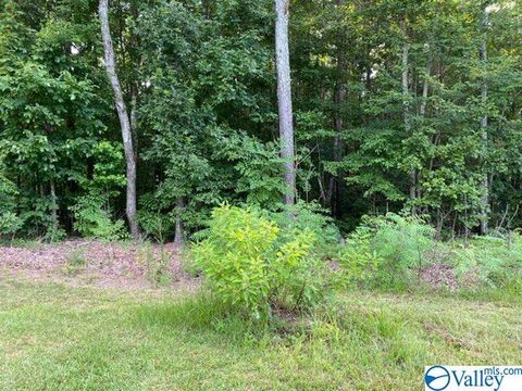 Vacant Land For Sale - LOT 16 Sweetwater Lane<br/> Etowah County, Rainbow City, AL 35906