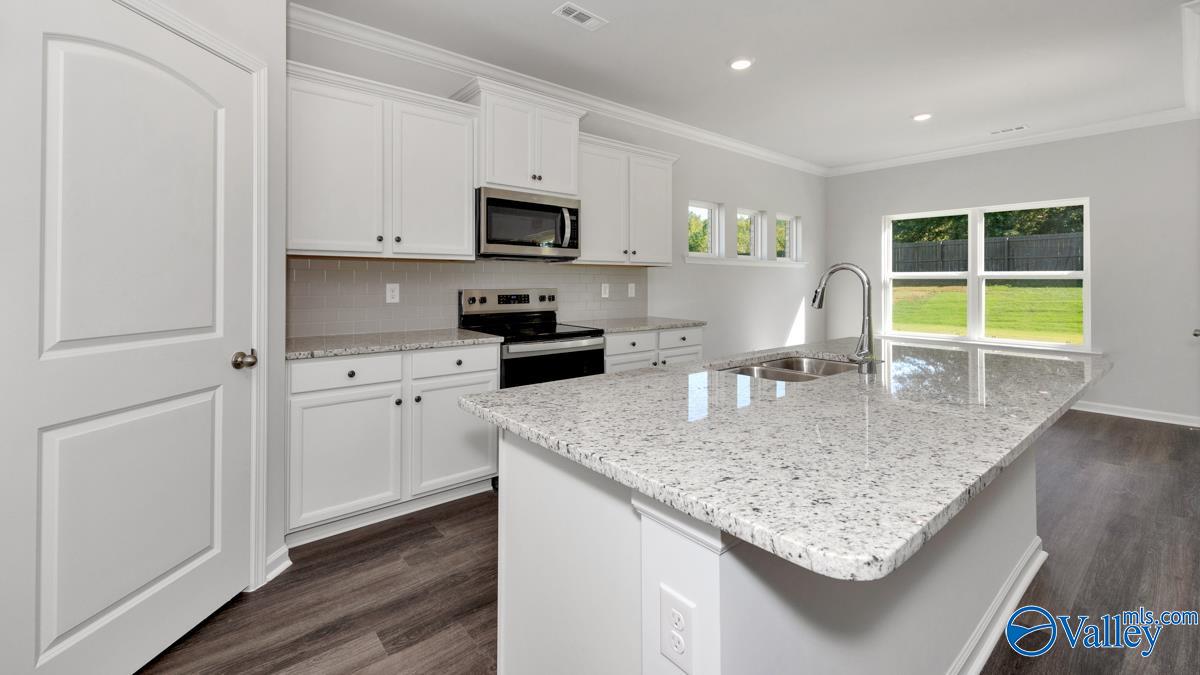 8504 Sophia Nicolle Court, Gurley, Alabama image 4