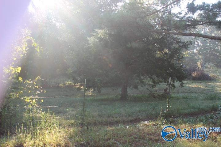 132 Winston Drive, Valley Head, Alabama image 14