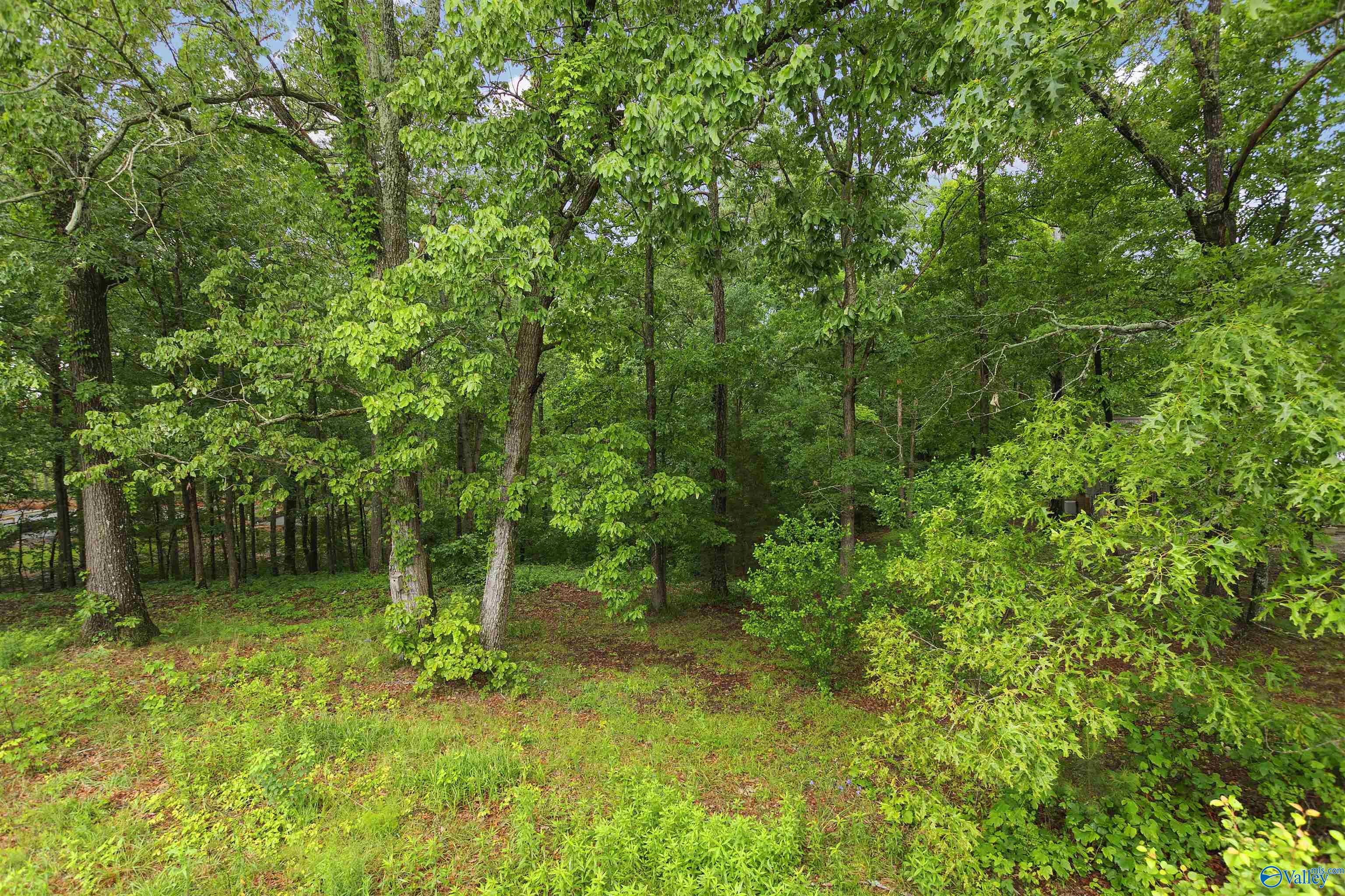 14745 Alabama Highway 157, Vinemont, Alabama image 4