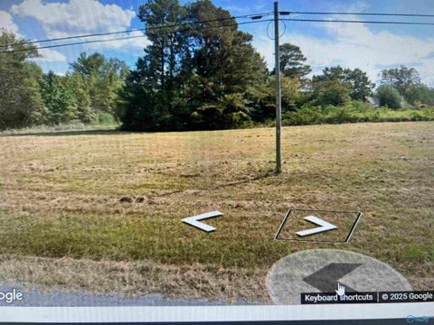Vacant Land For Sale - 4319 Hopewell Road<br/> Arab, AL 35016