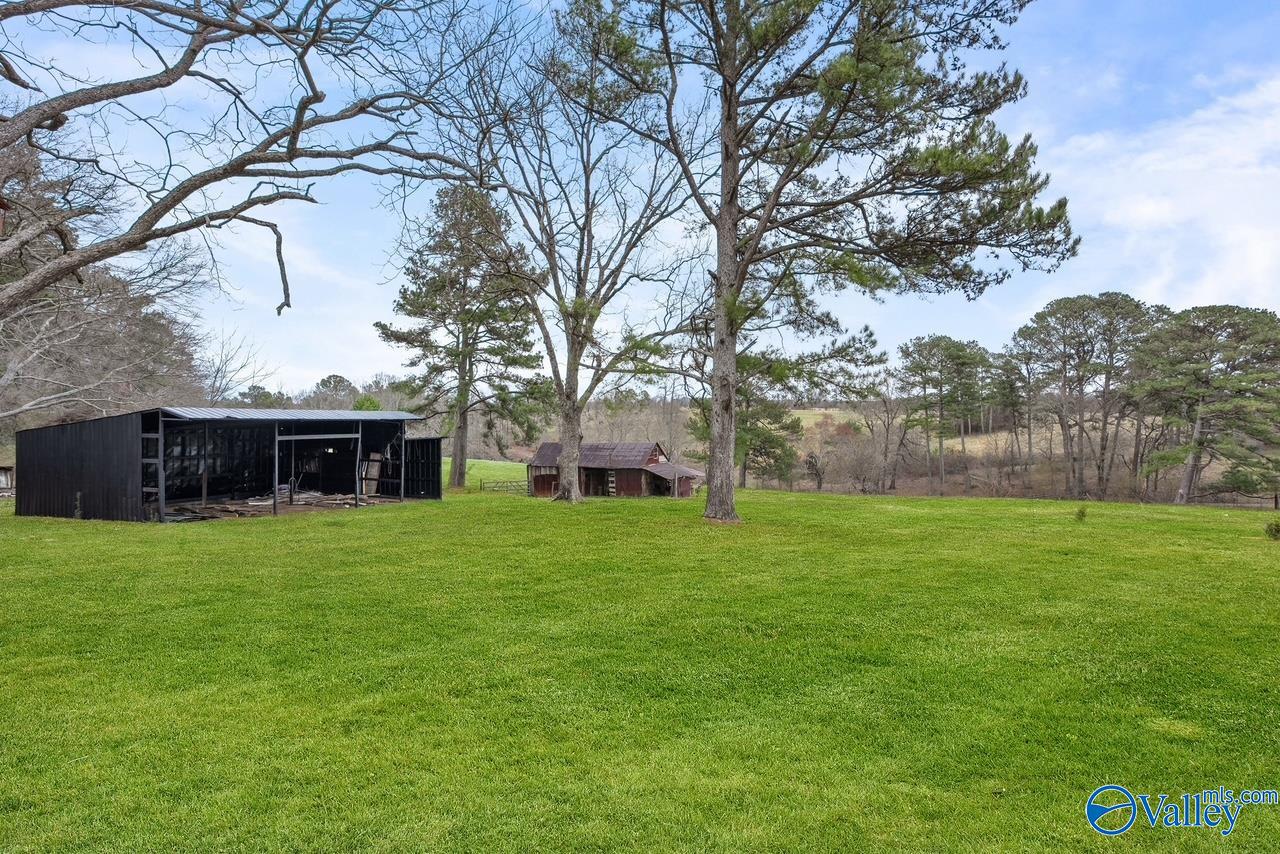 277 County Road 1678, Cullman, Alabama image 39