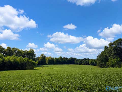 Vacant Land For Sale - 18.6 ACRES Highway 431<br/> Boaz, AL 35956