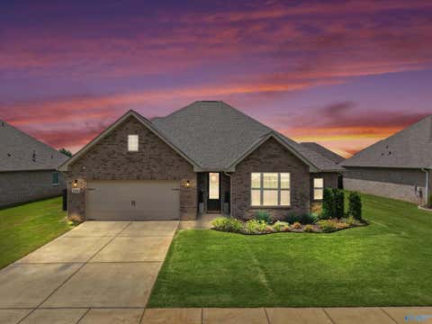 Homes For Sale - 169 Slade Thomas Drive<br/> Meridianville, AL 35759