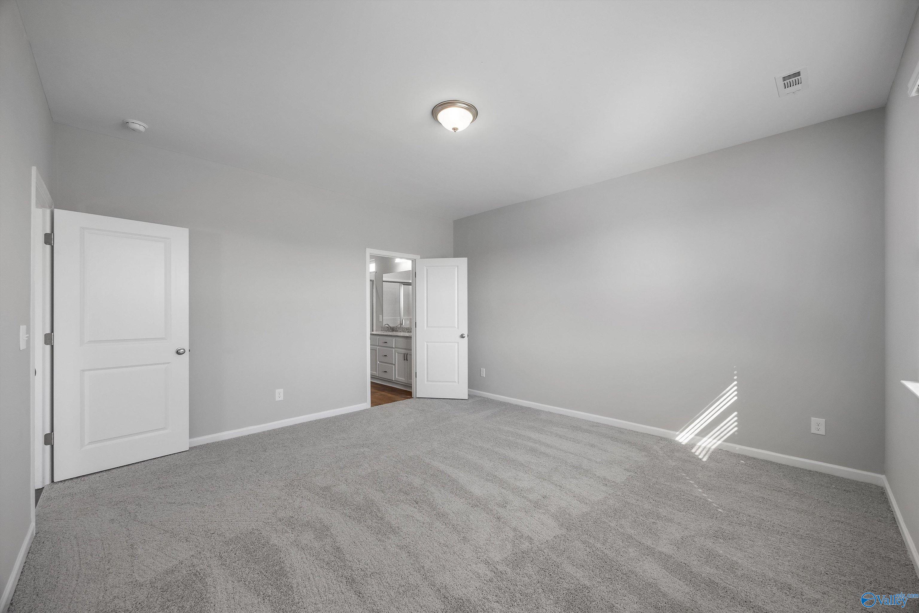 205 Sunhill Court, Harvest, Alabama image 20