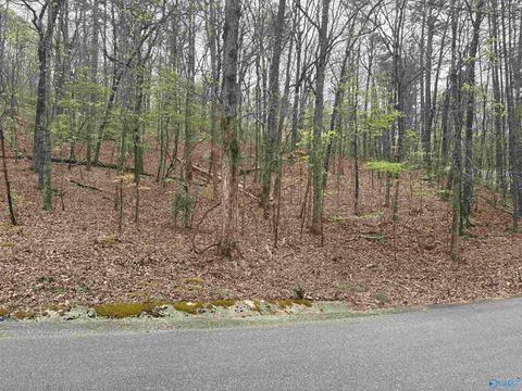 Vacant Land For Sale - 4 Greenbriar Road<br/> Gadsden, AL 35901