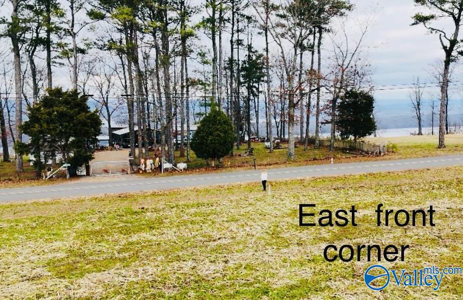 418 Scenic Drive, Section, Alabama image 3