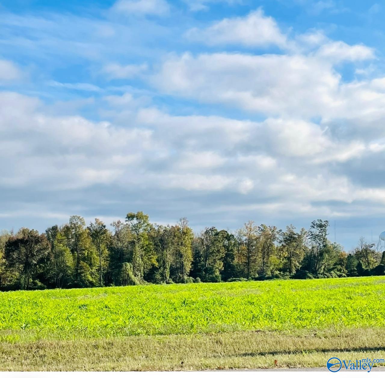 418 Scenic Drive, Section, Alabama image 1