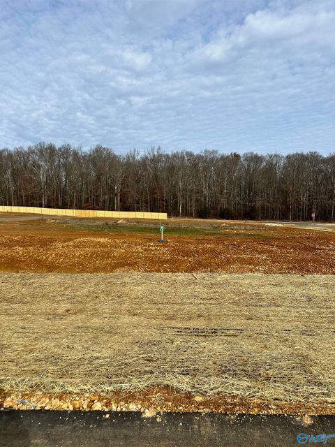 Vacant Land For Sale - LOT 1 Saban Lane<br/> Limestone County, Athens, AL 35613
