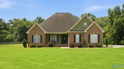 Homes For Sale - 79 Woodbury Lane<br/> Albertville, AL 35951