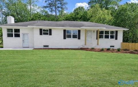 Homes For Rent - 9201 Alabama Highway 75<br/> Douglas, AL 35980