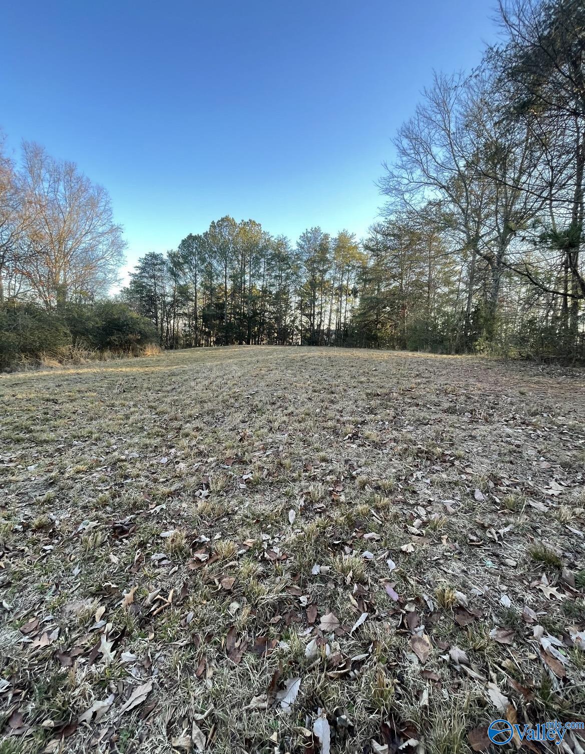 Lot 19 Leach Drive, Guntersville, Alabama image 3