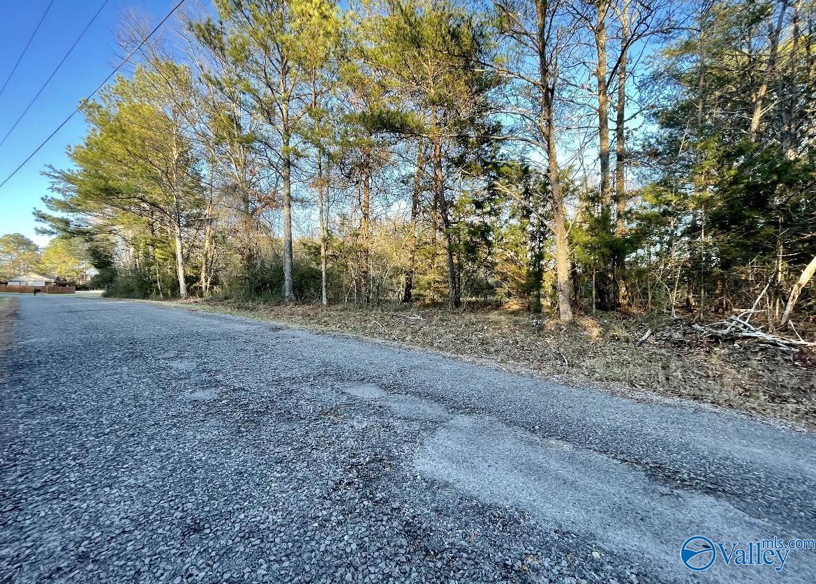 Lot 19 Leach Drive, Guntersville, Alabama image 6