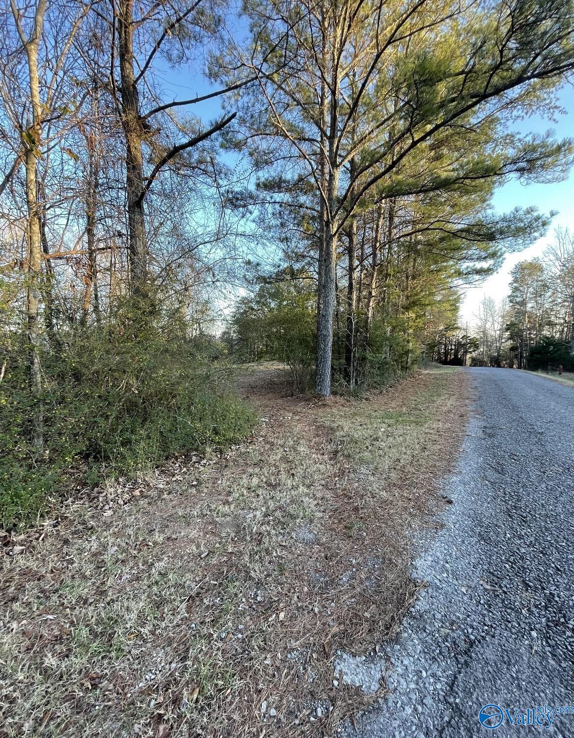 Lot 19 Leach Drive, Guntersville, Alabama image 1