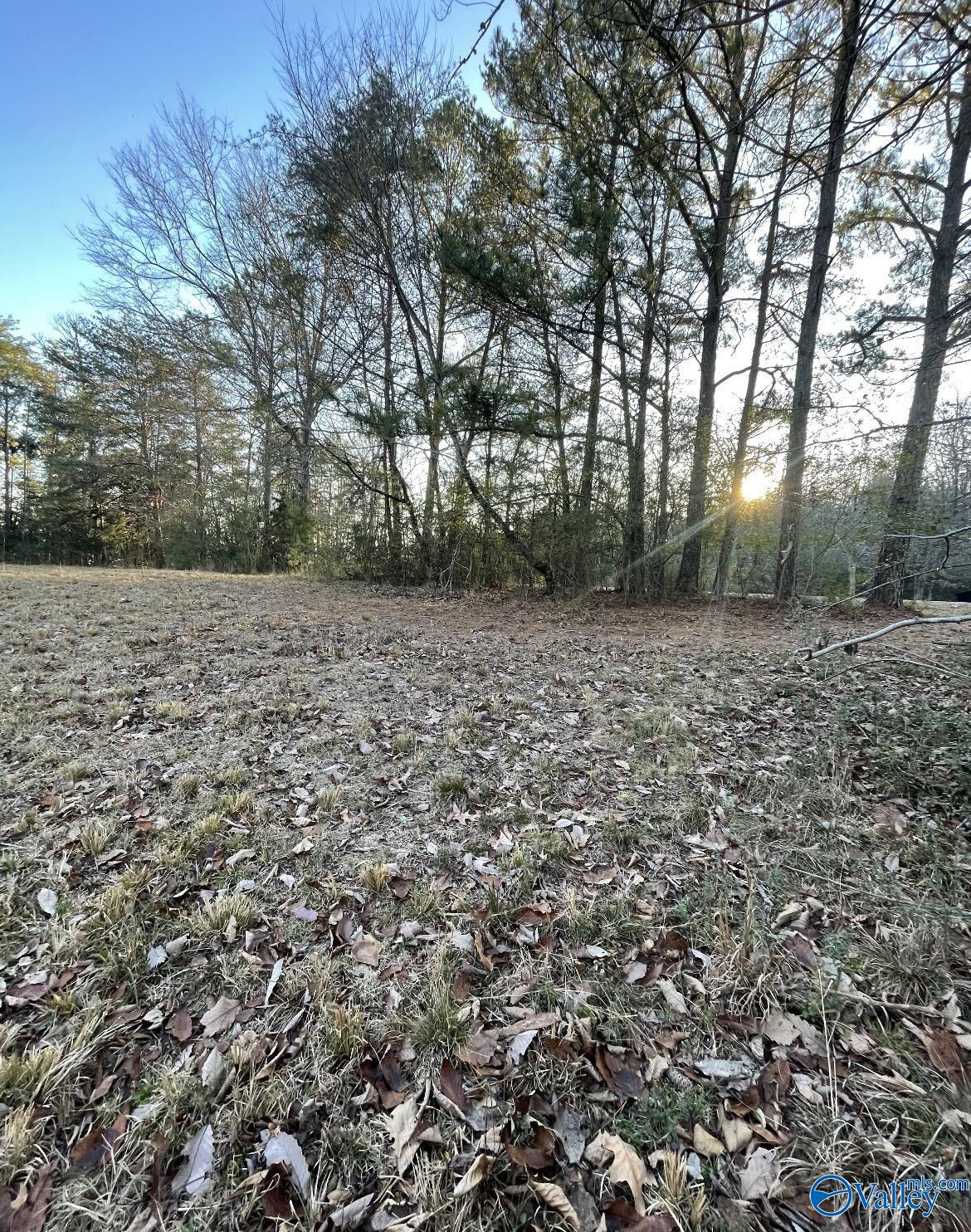 Lot 19 Leach Drive, Guntersville, Alabama image 8