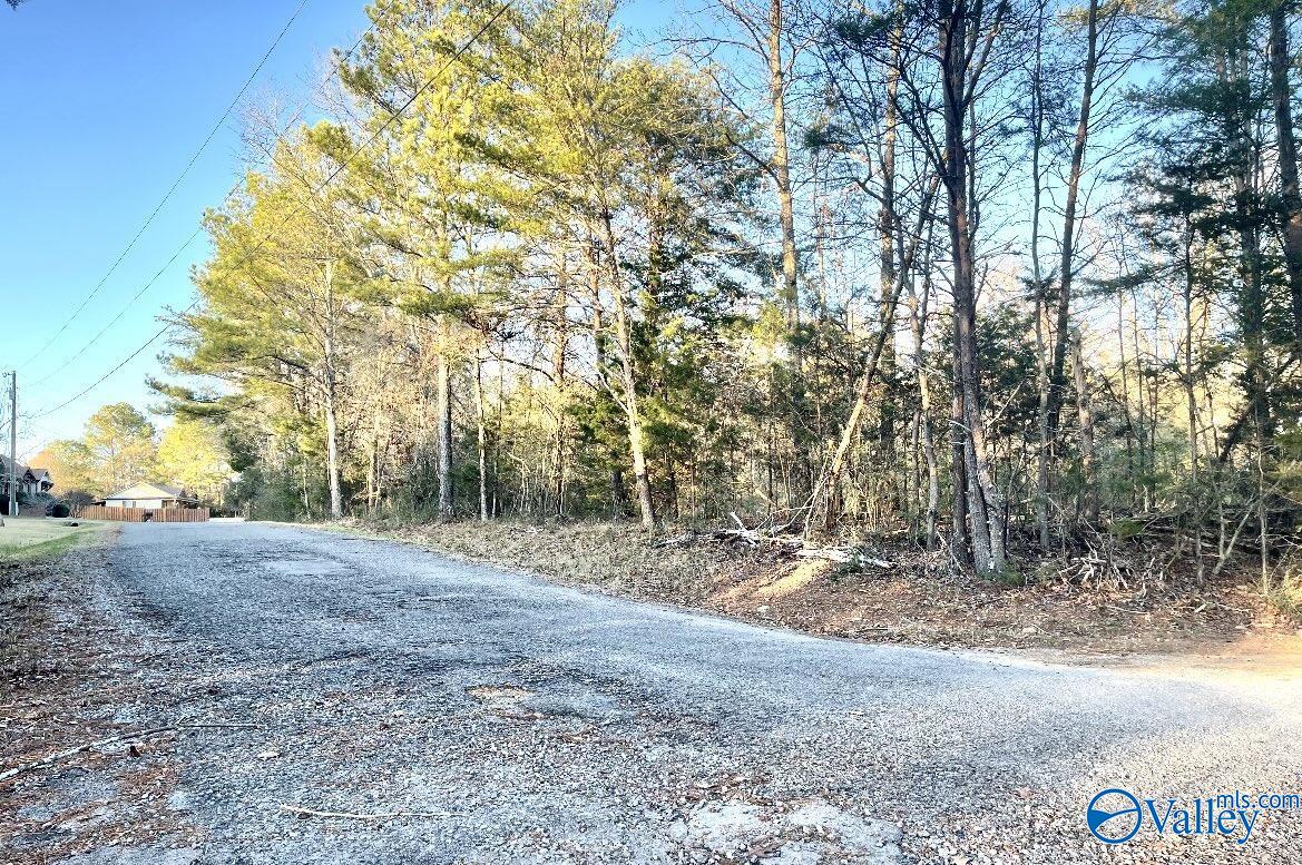 Lot 19 Leach Drive, Guntersville, Alabama image 4